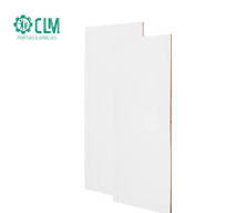 PORTA BRANCA 2.10X0.60 CLM