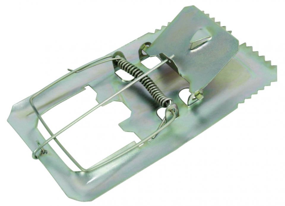 RATOEIRA DE CHAPA - M BESTFER