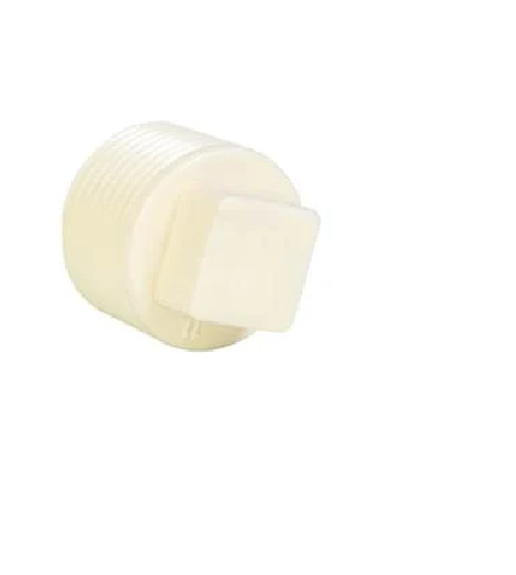 PLUG ROSCAVEL 1